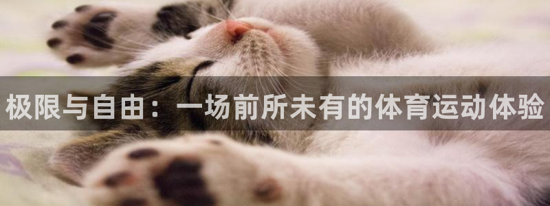 米兰体育官网下载招商电话：极限与自由：一场前所未有的
