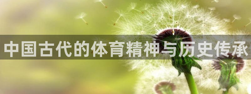 米兰体育官网下载：中国古代的体育精神与历史传承