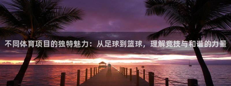 米兰体育官网下载招商电话地址查询：不同体育项目的独特魅力：从