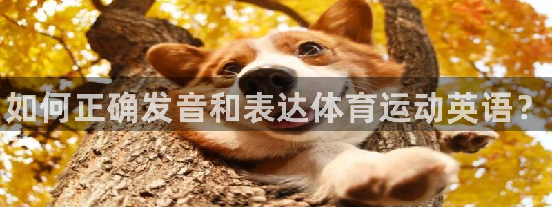 米兰体育官网下载招商：如何正确发音和表达体育运动英语？