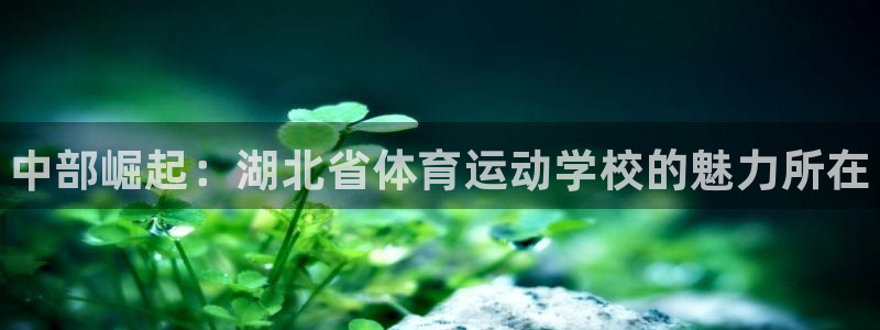 米兰体育官方正版app官网：中部崛起：湖北省体育运动