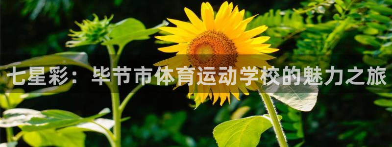 米兰体育官方正版app娱乐下载：七星彩：毕节市体育运动学校的
