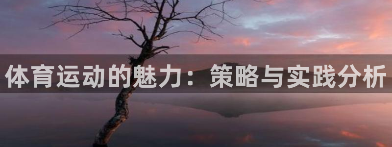 米兰体育官方正版app集团E.ON：体育运动的魅力：策略与实