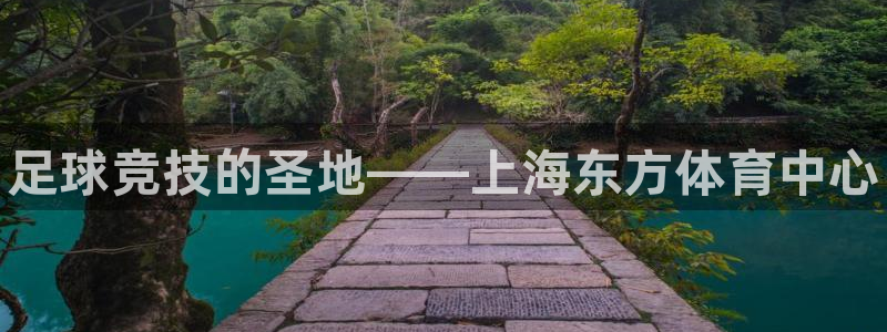 米兰体育官方正版app集团E.ON：足球竞技的圣地—