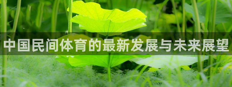 米兰体育官方集团官网：中国民间体育的最新发展与未来展望