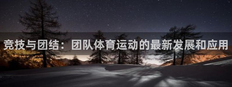 米兰体育官网下载是干嘛的公司：竞技与团结：团队体育运