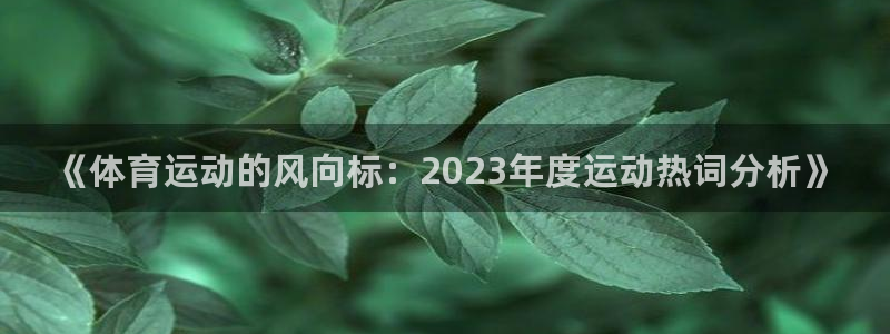 米兰体育官网下载软件：《体育运动的风向标：2023年