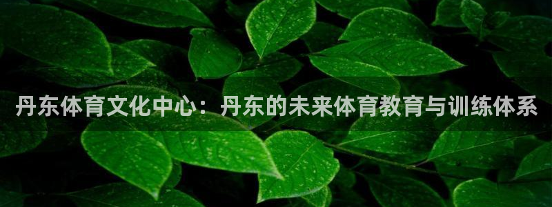 米兰体育官方正版app开户：丹东体育文化中心：丹东的未来体育