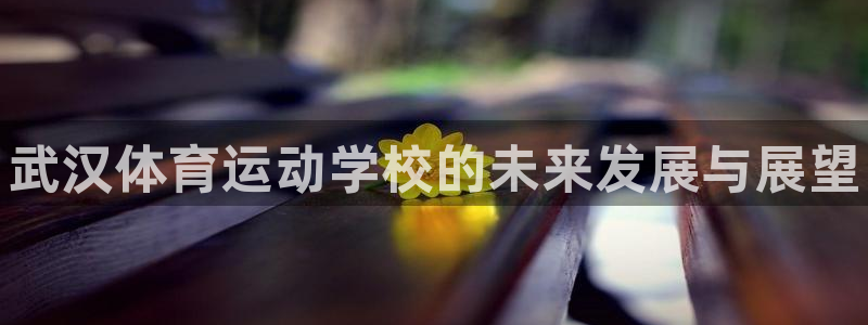 米兰体育官方正版app集团logo：武汉体育运动学校的未来发