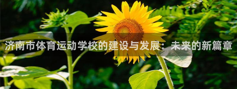 米兰体育官网下载招商电话号码查询：济南市体育运动学校的建设与