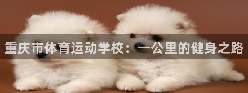 米兰体育官方正版app新能源：重庆市体育运动学校：一公里的健