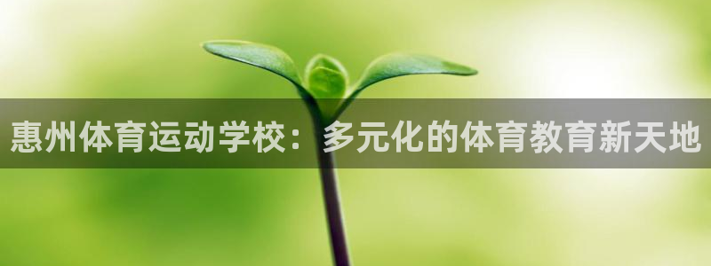 米兰体育官方正版app集团官网首页：惠州体育运动学校：多元化