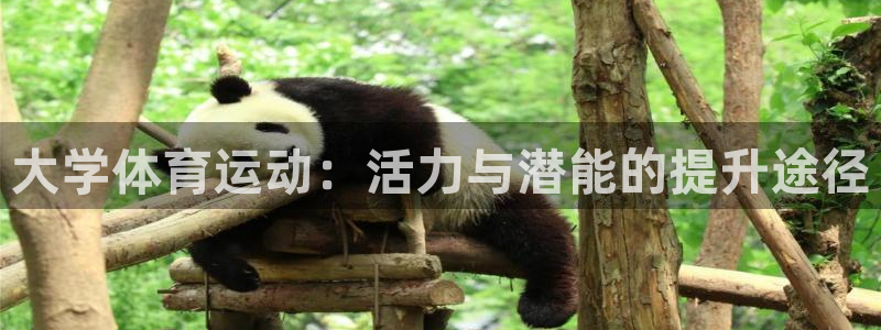 米兰体育官网下载开户